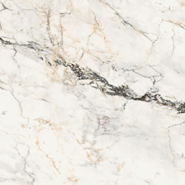 Керамогранит Aesthetica AE PAO6 120 RM (AEPAO6120RM) 120x120 от La Faenza (Италия)