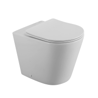 Унитаз приставной с сиденьем микролифт BelBagno Flay-R BB1003CBR/SC безободковый