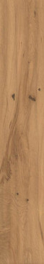 Керамогранит Log Amber Oak Forest (AX3F) 20x120 от Atlas Concorde (Италия)