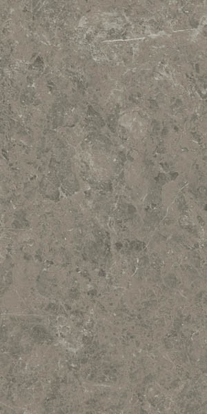 Керамогранит Marvel Meraviglia Grigio Elegante Lapp. (AJIA) 120x240 от Atlas Concorde (Италия)