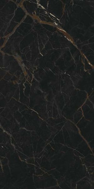 Керамогранит Forte Dei Marmi Ombra Di Caravaggio Honed Satin (610015000660) 60x120 от Atlas Concorde (Россия)