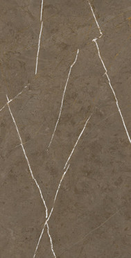 Керамогранит Stone Brown 3D ink-soft glaze (BHM-5009) 60x120x10 от Basconi Home (Китай)