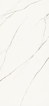 Керамогранит Aesthetica AE EXT6 278 LP (AEEXT6278LP) 120x278 от La Faenza (Италия)