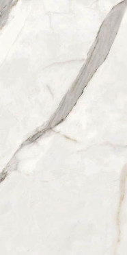 Керамогранит Belvedere Alpe Di Siusi Polished (CV20311) 60x120 от Neodom (Индия)