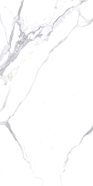 Керамогранит Calacatta Splendid Silver белый Матовый 60x120 от Ceradim (Индия)