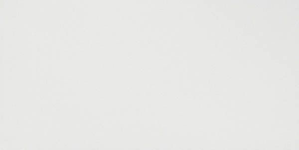 Настенная плитка SOLID WHITE MATT (8DSO) 40x80 от Atlas Concorde (Италия)