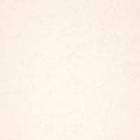 R 11581 Обои Fipar (Modelli Magici) (1*4) 10,05х1,06 винил на флизелине