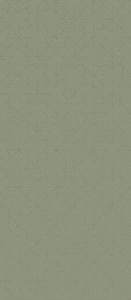 Декор Dekor gresowy Cielo e Terra Stelle verde Gat.1 274.8x119.8 от Tubadzin (Польша)