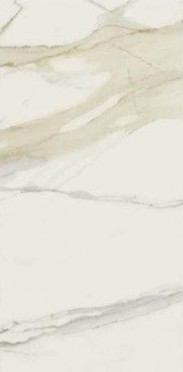 Керамогранит CAL.GOLD CHAIN F 6MM GLOSSY (750681) 120x240 от REX Ceramiche (Италия)