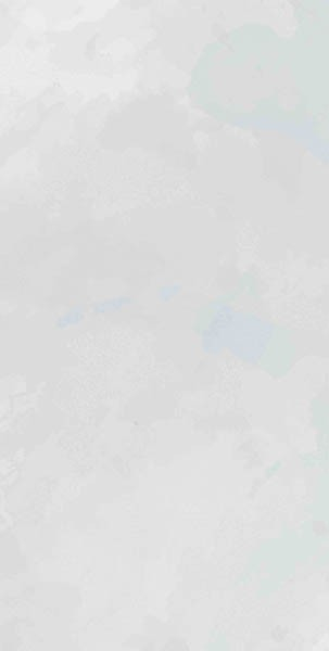 Настенная плитка Mon Cloudy Garden 30x60 от Creto (Россия)