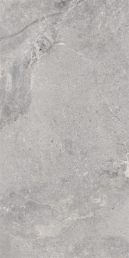 Керамогранит BEYOND MAT GREY RECT.POR.TILE (P82015.6) 60x120 от Yurtbay (Турция)