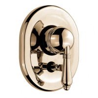 Внешняя часть смеситель для душа Nicolazzi EL CAPITAN 3460BZ75 с переключателем