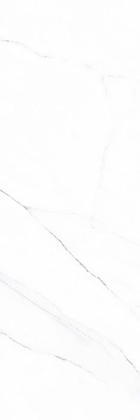 Настенная плитка Ilana (TWU12ILN00R) 24.6x74x10 от Alma Ceramica (Россия)