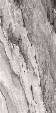 Керамогранит MYSTIC DARK (CSAMYDAR60) 60x120 от Sant Agostino (Италия)