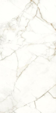 Керамогранит RHAPSODY EMOTION RHAPS.LEV/RETT.(117782) 60x120 от Naxos Ceramica (Италия)