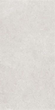 Керамогранит LEIRIA GREIGE MT RECT. (CAN5LEIIBDHA) 60x120 от Keratile-KTL (Испания)