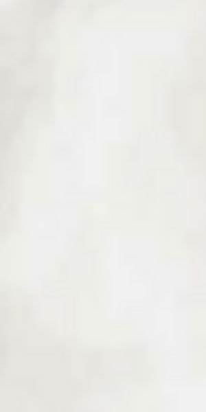 Керамогранит R-EVOLUTION TOTAL WHITE 9MM (11720026) 60x120 от Casalgrande Padana (Италия)