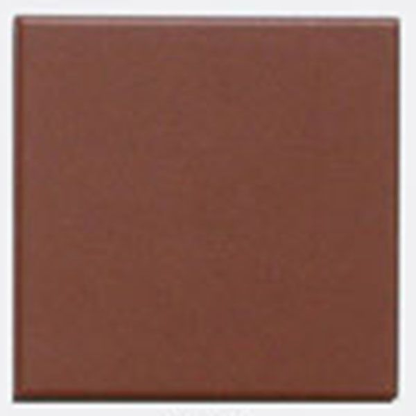 Керамогранит L4420-1Ch Brick-Red - Loose 10x10 от TopCer (Португалия)