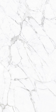 Керамогранит STATUARIO FINE GLOSSY R (ROL83955) 60x120 от Gresant (Индия)