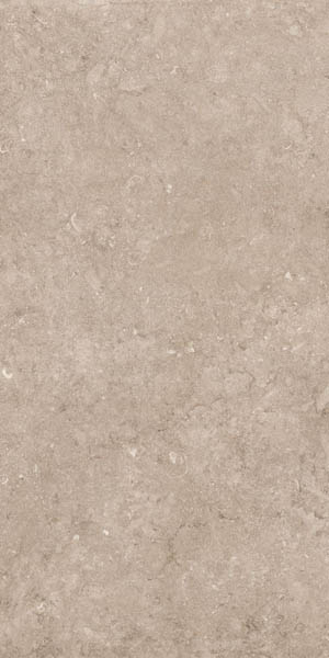 Керамогранит Stone Pariso Tobacco Matt (N12050) 60x120 от Neodom (Индия)