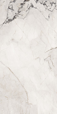 Керамогранит Aesthetica AE CAM6 12 LPM (AECAM612LPM) 60x120 от La Faenza (Италия)