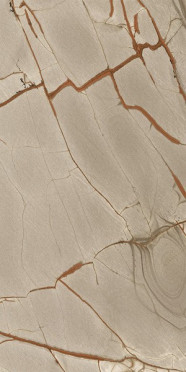 Керамогранит NATURE MOOD RAINFORE.GLOSS.9MM RET (775101) 60x120 от Casa Dolce Casa (Италия)