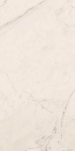 Напольная плитка TREX 12W RM 60x120 от La Faenza (Италия)