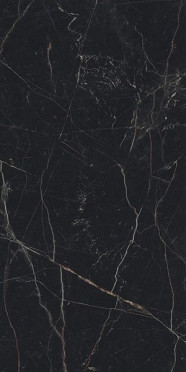 Керамогранит Marvel Black Atlantis Lappato (A21I) 60x120 от Atlas Concorde (Италия)