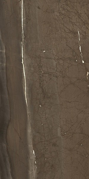 Керамогранит CR.LUX JATOBA BROWN Pul. Rect. 60x120 от Pamesa (Испания)