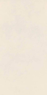 Керамогранит Decora Bianco Rett (RA59) 60x120 от Ragno (Италия)