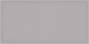 Настенная плитка Corso Gris 10x20 от Vives Ceramica (Испания)