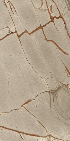 Керамогранит NATURE MOOD RAINFORE.GLOSS.9MM RET (775101) 60x120 от Casa Dolce Casa (Италия)