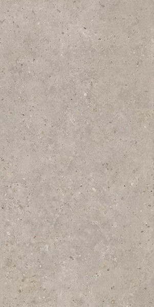 Керамогранит Риккарди бежевый матовый обрезной (SG540620R) 60x119.5x0.9 от Kerama Marazzi (Россия)