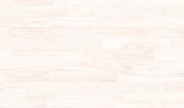 Керамогранит Gamma-R Blanco 14.4x89.3 от Vives Ceramica (Испания)