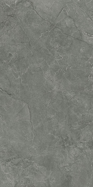 Керамогранит Pluto Grigio серый (SG50005320R) матовый 59.5x119.1 от Laparet