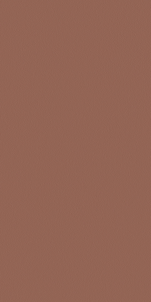 Керамогранит TORNARES ZUMAIA TERRACOTA REC ( под заказ) 60x120 от TAU Ceramica (Испания)