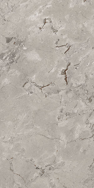 Керамогранит Karnis Grey Matt (93450) 60x120 от Cerdomus (Италия)