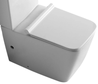 Чаша напольного унитаза с сиденьем микролифт Aquanet Tavr TAVR-C1 безободковая