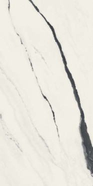 Керамогранит Forte Dei Marmi Panda White Rett (610010002709) 80x160 от Atlas Concorde (Россия)