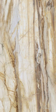 Керамогранит LM FOSSIL MC R (FBS01MQ041) 100x200 от Roca (Испания)