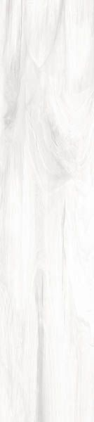 Керамогранит Ashton (GFA92ATN07R) 20x90x9 от Alma Ceramica (Россия)