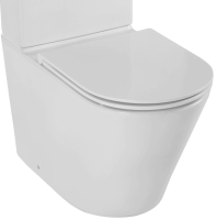 Чаша напольного унитаза Jacob Delafon Rodin+ UJAB102-00 безободковая