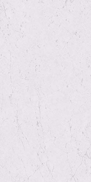 Керамогранит Marvel Stone Carrara Pure Lappato (AZTW) 120x240 от Atlas Concorde (Италия)