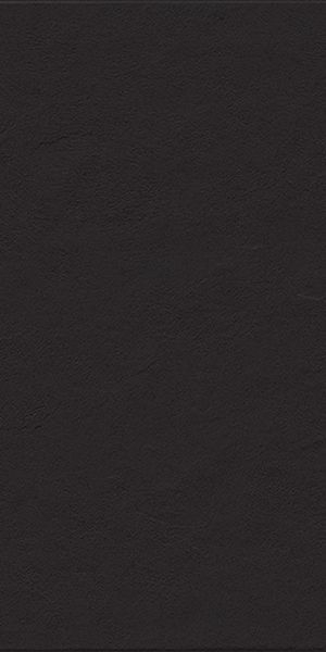 Керамогранит PIETRA DI LUNA NOIR NAT/RET (122083) 45x90 от Tagina (Италия)