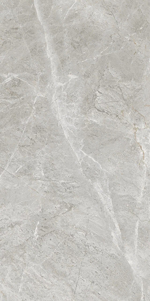 Керамогранит BALTIC GREY glossy (ETSTN1236GL60120) 60x120 от Eternal (Индия)