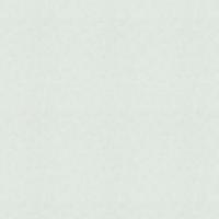 34418 Обои Marburg (Shades Iconic/Flora) (1*12) 10,05x0,53 винил на флизелине