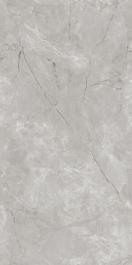 Керамогранит Techno Matt Siena Grey Tm (N20449) 80x160 от Neodom (Индия)