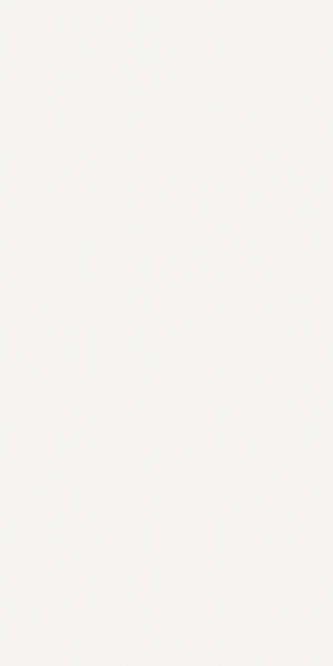 Настенная плитка Neve Satin Rect. 60x120 от Baldocer (Испания)