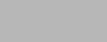 Настенная плитка Городские цветы ( 7083T) серый 20x50 от Kerama Marazzi (Россия)