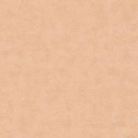 32433 Обои Marburg (Shades Iconic/Flora/Shades) (1*12) 10,05x0,53 винил на флизелине